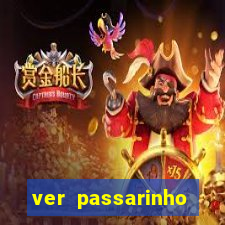 ver passarinho morto significado