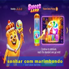 sonhar com marimbondo