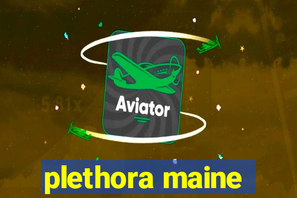 plethora maine