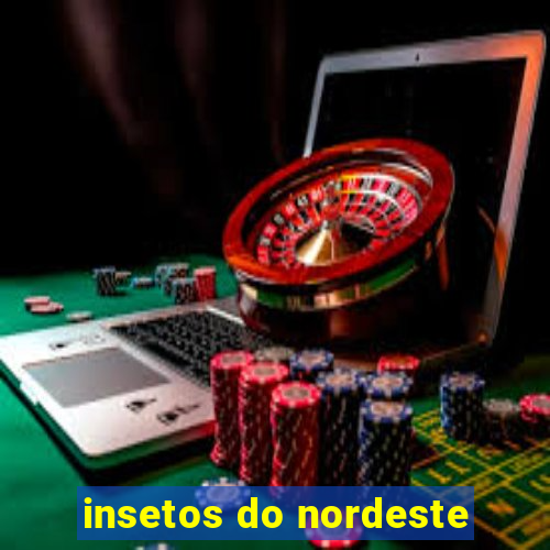 insetos do nordeste