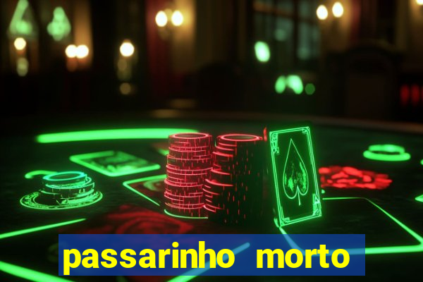 passarinho morto significado espiritual