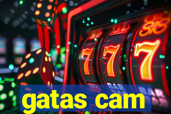 gatas cam