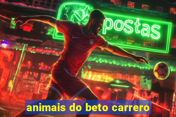 animais do beto carrero