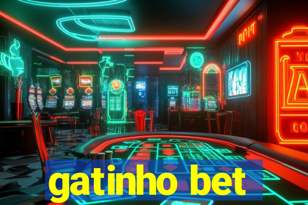 gatinho bet