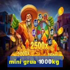 mini grua 1000kg