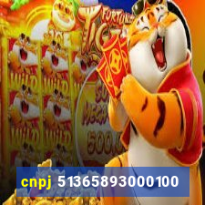 cnpj 51365893000100