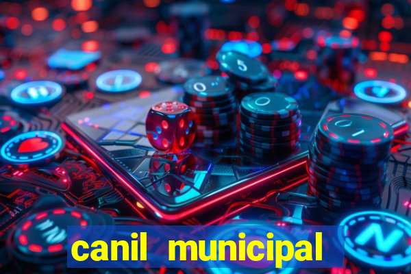 canil municipal porto alegre