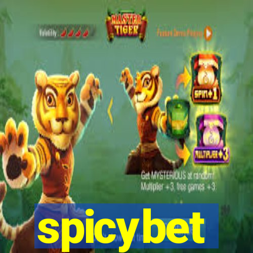 spicybet-3.com