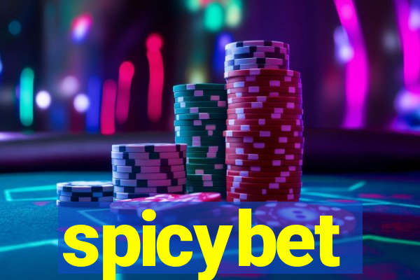 spicybet-4.com