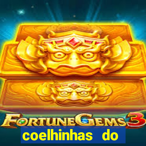 coelhinhas do brasil jp