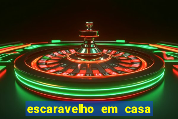 escaravelho em casa significado espiritual